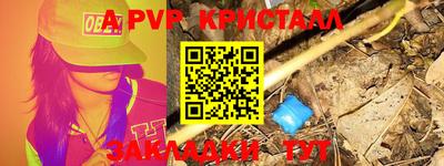прущие грибы Вязьма