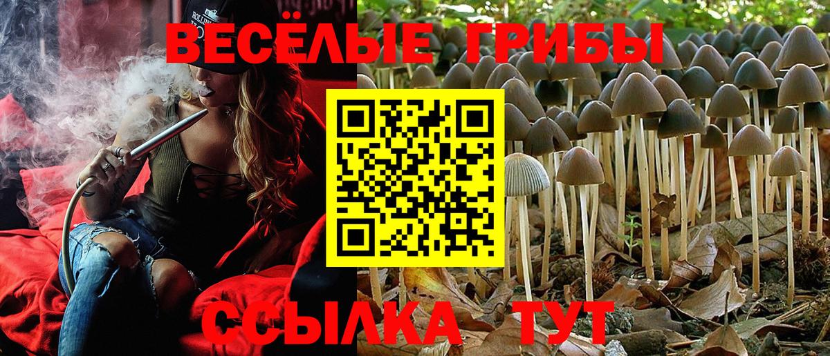 Оренбург  Псилоцибиновые грибы Magic Shrooms  Вход с VPN 